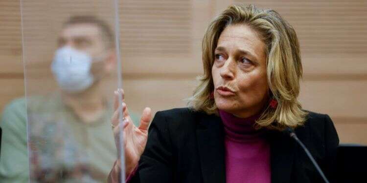 ד איכוני שב"כ ואיסור כניסת זרים: ועדת החוקה דנה בווריאנט החדש