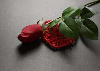 להאמין שדווקא הפרטים הקטנים משמרים סוד עמוק