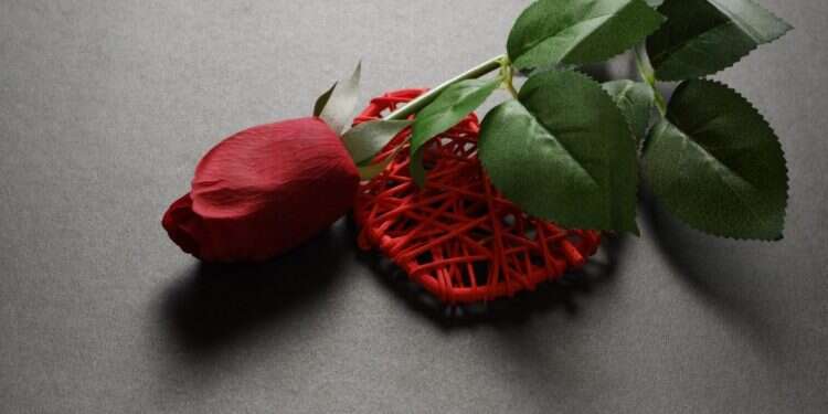 להאמין שדווקא הפרטים הקטנים משמרים סוד עמוק