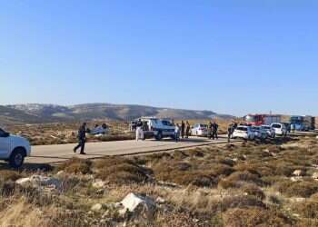 "אהוביה זה אלטלנה בעיניי. אני לא מבין איך אנשים לא רואים את זה".