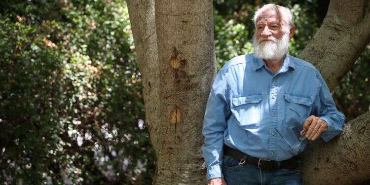 יום טהרלב. צילום: אבישג שאר ֿישוב