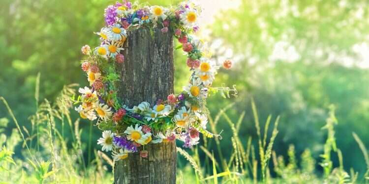 צילום: שאטרסטוק