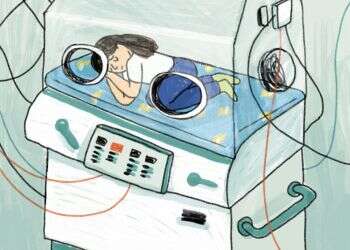 איור: נועה קלנר