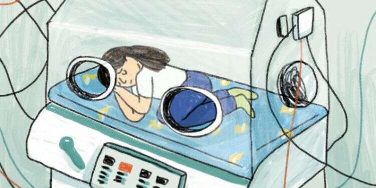 איור: נועה קלנר