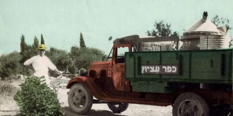 צילום: מתוך הארכיון המשפחתי