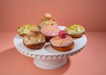 מושחתות (לא) נמאסתן: מפת הסופגניות המלאה