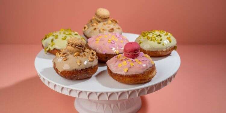 מושחתות (לא) נמאסתן: מפת הסופגניות המלאה