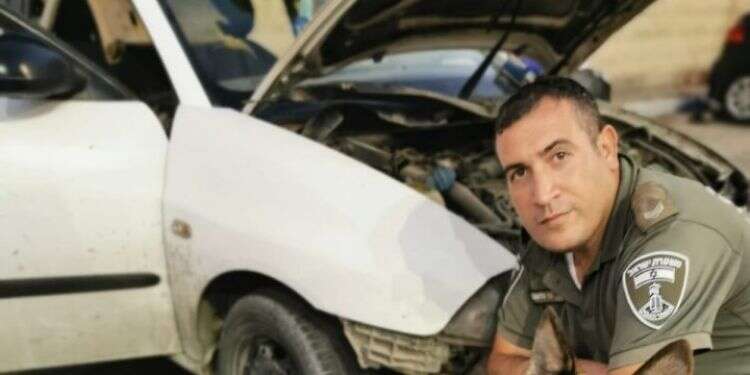 תחמושת שנתפסה לאחר משימה. צילום: דוברות המשטרה