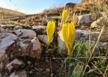 גשם גשם בוא: שלושה טיולים חורפיים מושלמים