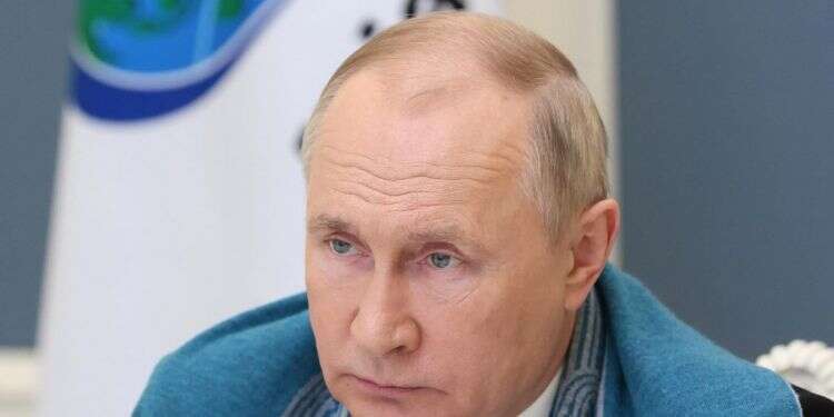 נשיא רוסיה ולדימיר פוטין. צילום: EPA מתיחות על גבול אוקראינה: ביידן ופוטין יקיימו פסגה וירטואלית