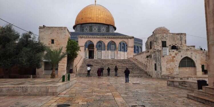 למרות הגשם: יהודים בהר