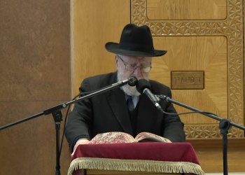 צפו: הלווייתו של הרב אליעזר ולדמן ז"ל