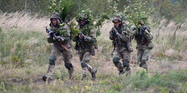 חיילים אוקראינים באימון על רקע המתיחות עם רוסיה. צילום: AFP "רוסיה תפתח במתקפת סייבר רחבה על אוקראינה"