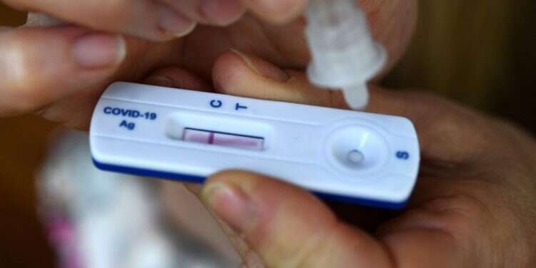 בדיקת קורונה מהירה. צילום: AFP ה-FDA מזהיר: בדיקות מהירות פחות יעילות באיתור חולי אומיקרון