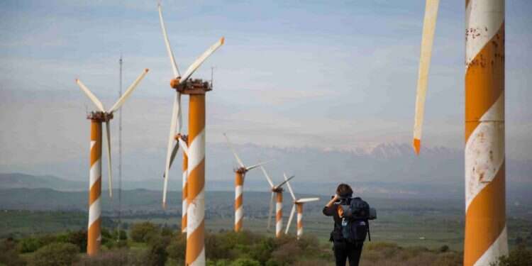 מפת הדרכים של שאול גולדשטיין להצלת הטבע בארץ ישראל