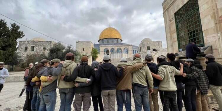 1679 יהודים עלו להר במהלך חג החנוכה, קפיצה ניכרת לעומת נתוני השנים הקודמות. לשם השוואה, בשנה שעברה עלו ההרה 884
יהודים במהלך חנוכה, ולפני שנתיים, בטרם קורונה, עלו להר בחג הזה 1205 יהודים. צילום: יהודה לוי, כולל דרישת ציון