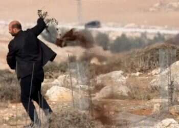 עצים נעקרו סמוך לאביגיל; יוחאי דמרי: "לנו יש פה עסק עם תתי אדם"