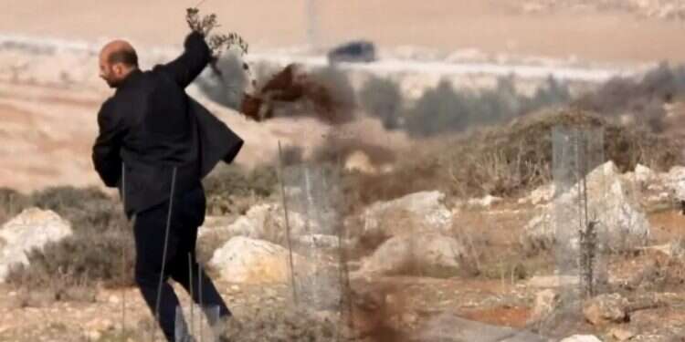 עצים נעקרו סמוך לאביגיל; יוחאי דמרי: "לנו יש פה עסק עם תתי אדם"