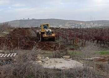 שוטרי מג"ב עוקרים כרמים בעמונה; אלימות מופעלת כלפי מפגינים