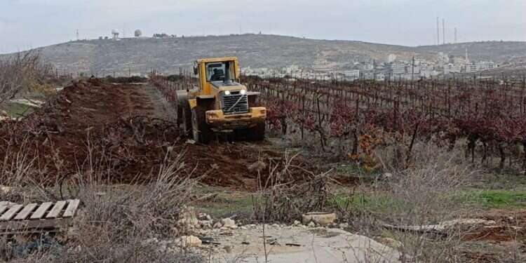 עקירת הכרם בעמונה שוטרי מג"ב עוקרים כרמים בעמונה; אלימות מופעלת כלפי מפגינים