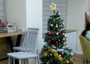 "צה"ל שוכח להיות צבא העם": עץ אשוח הוצב בבית החייל