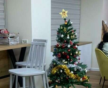 ן "צה"ל שוכח להיות צבא העם": עץ אשוח הוצב בבית החייל