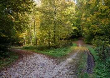 אין בחיים קיצורי דרך?