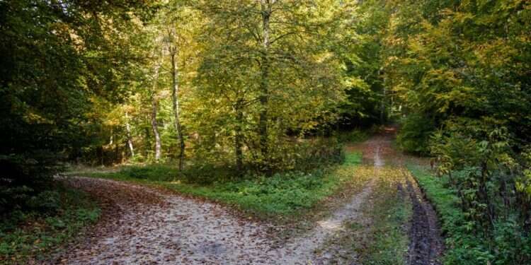 צילום: שאטרסטוק אין בחיים קיצורי דרך?