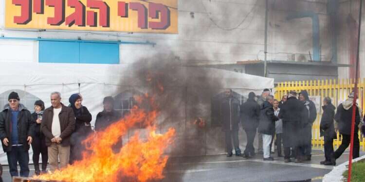 משרד החקלאות מפחית את המכס על ירקות ופירות, רפורמת הלול מתעכבת