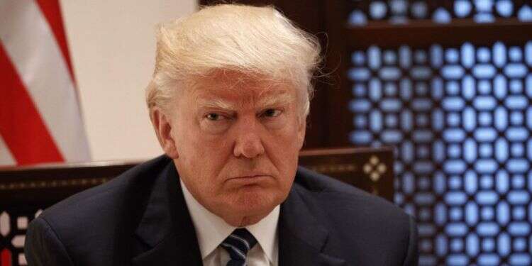 דונלד טראמפ. צילום: AP ברוגז בימין