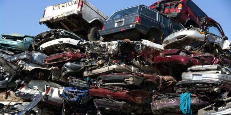 צילום: שאטרסטוק צילום: שאטרסטוק