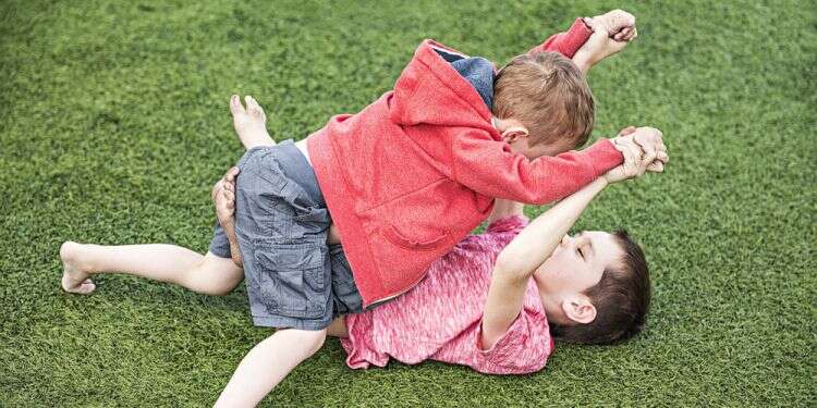 ריב אחים, אילוסטרציה. צילום: שאטרסטוק מריבות בין אחים