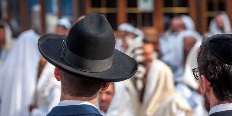 צילום: שאטרסטוק