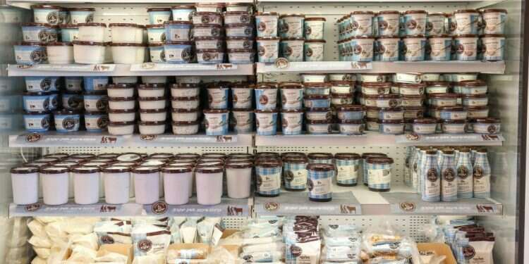 צילום: אפרת ליכטנשטט הצו שיפחית את מחירי הגבינות ומוצרי החלב