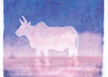 איור: מנחם הלברשטט