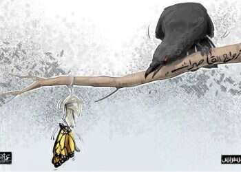 פרפר לא נחמד: פעילי זכויות אדם נאבקים בנישואי קטינות במרוקו