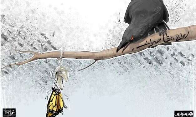 פרפר לא נחמד: פעילי זכויות אדם נאבקים בנישואי קטינות במרוקו