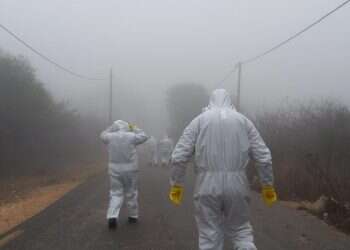 שפעת העופות בצפון: משרד החקלאות חוקר חקלאי שחשוד בהפרת הסגר על הלול