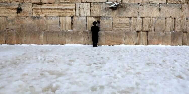 גם הטריוויה נצבעת בלבן