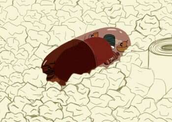 איור: רעות בורץ