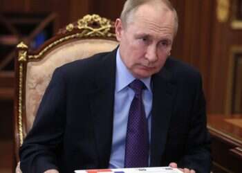 "פוטין הוא גאון והוא משחק על כל המגרש"