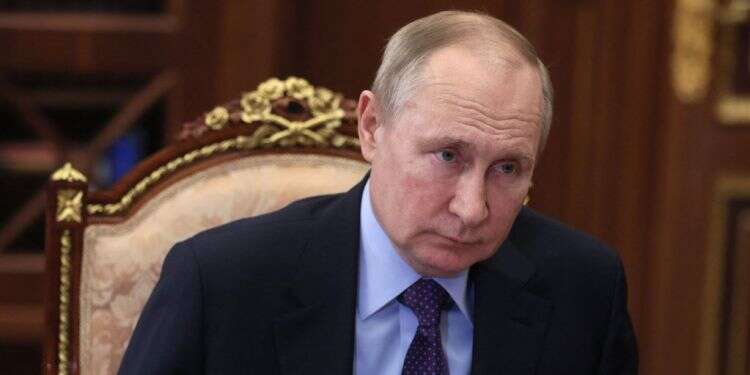 נשיא רוסיה ולדימיר פוטין. צילום: AFP "פוטין הוא גאון והוא משחק על כל המגרש"