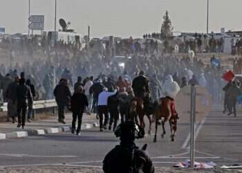 המטרה מאחורי מהומות הנטיעות בנגב: פירוק המדינה