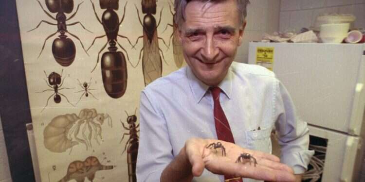 אדוארד וילסון. צילום: AP מת המדען שגילה את המשותף בין נמלים ובני אדם