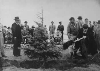 "אם היו קוראים לי להתגייס, הייתי הולך בעצמי"