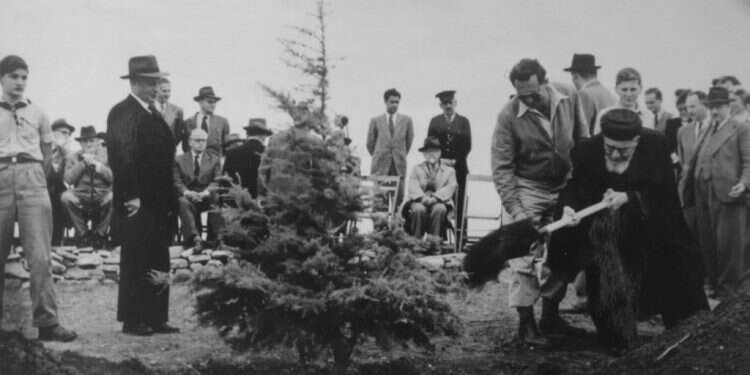 הרב בן ציון מאיר חי עוזיאל נוטע עץ בהר הרצל, 1949. צילום: באדיבות הארכיון הציוני המרכזי
 "אם היו קוראים לי להתגייס, הייתי הולך בעצמי"