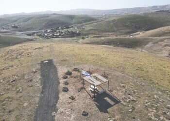 מפת הנטיעות בנגב מגלה: רק 10% מהשטח ניטעו