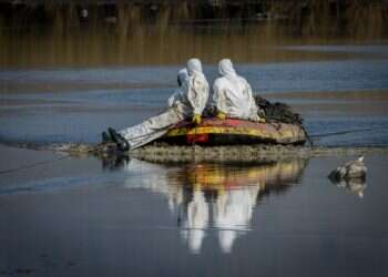 בקרוב בישראל? מקרה הדבקה ראשון בשפעת העופות בבריטניה
