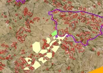 מפת הנטיעות בנגב מגלה: רק 10% מהשטח ניטעו