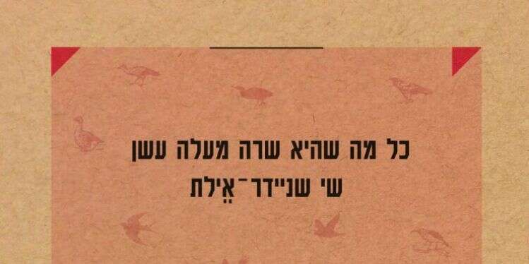 הכישלון הוא ההישג: מתוך החסר נולד ספר שירה יפה מנשוא